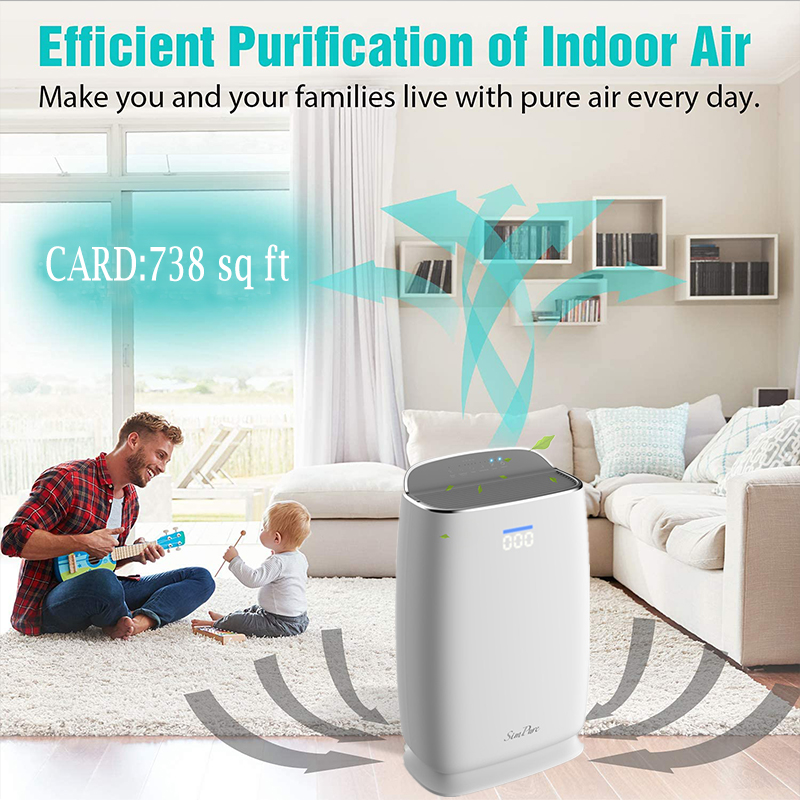 indoor air purifier