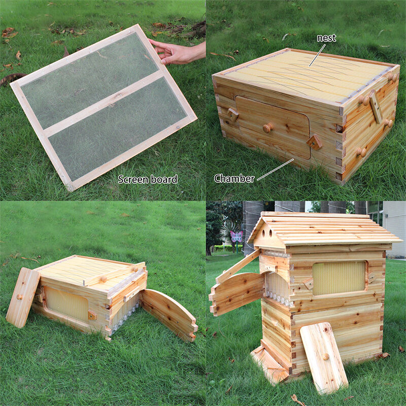 thumbnail 16  - Beekeeping Cedar Beehive House Super Beehive 7 Pieces Honey Bee Hive Frames USA