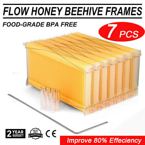 thumbnail 14  - US 7pcs Honey Beehive Beehive Frame Outdoor Strong Beehive Cedar Wooden Box Set