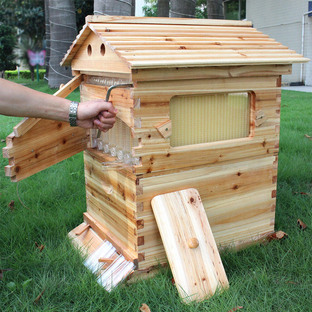 thumbnail 16  - US 7pcs Honey Beehive Beehive Frame Outdoor Strong Beehive Cedar Wooden Box Set