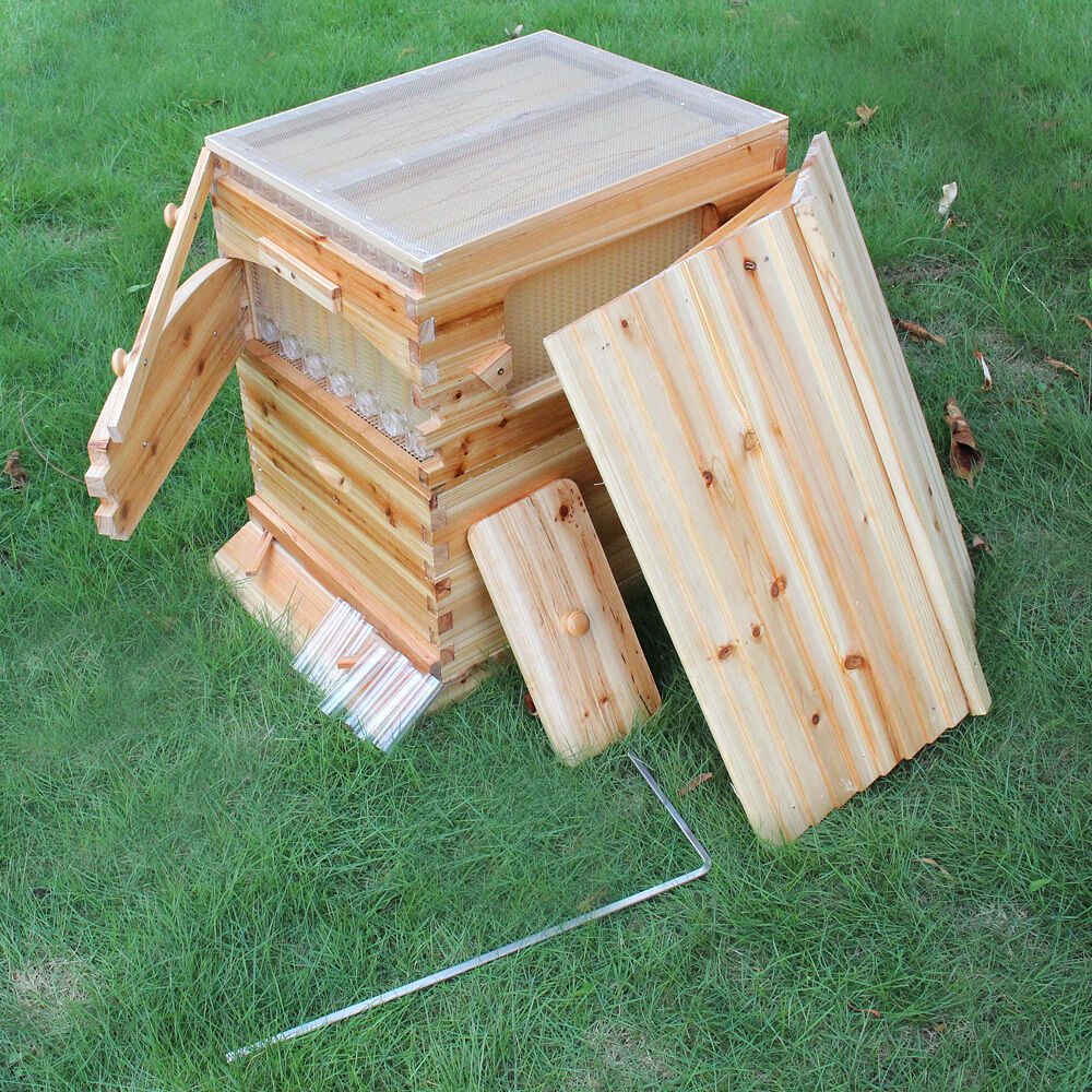 thumbnail 18  - US 7pcs Honey Beehive Beehive Frame Outdoor Strong Beehive Cedar Wooden Box Set