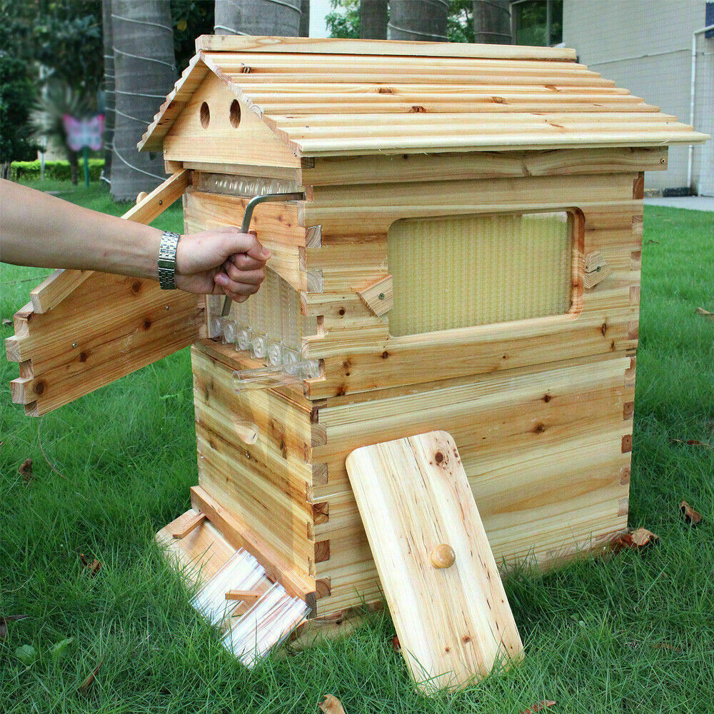 thumbnail 19  - US 7pcs Honey Beehive Beehive Frame Outdoor Strong Beehive Cedar Wooden Box Set