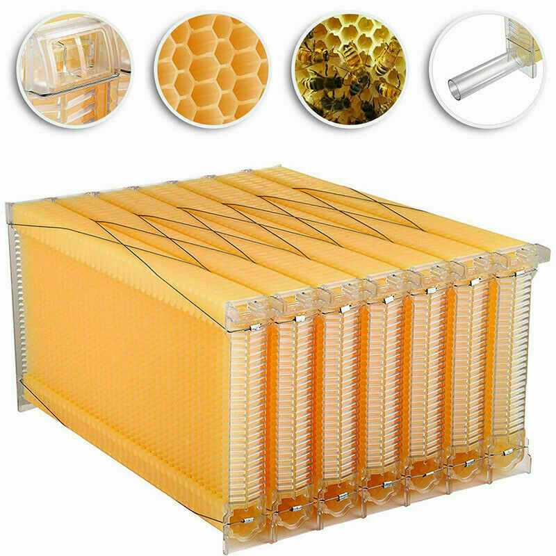 thumbnail 7 - 7 PCS Free Flowing Honey Hive Beehive Frames+Beekeeping Brood Wooden Box Set US