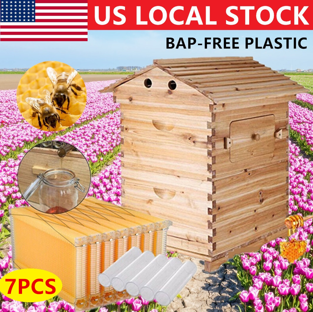 thumbnail 1 - 7 PCS Free Flowing Honey Hive Beehive Frames+Beekeeping Brood Wooden Box Set US