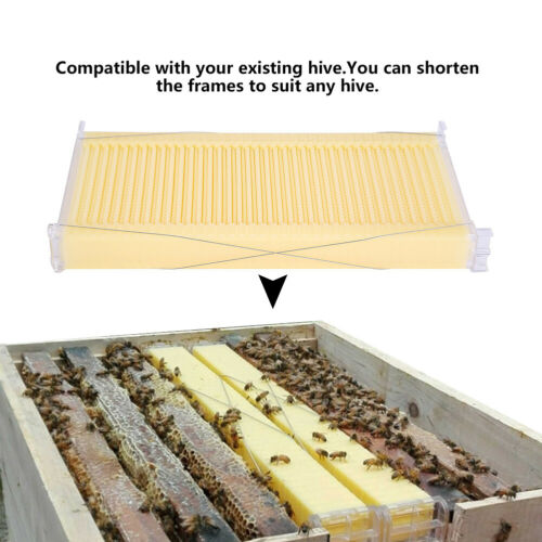 thumbnail 14  - Large Outdoor Vertical Bee Honey Beehive Frame + Beekeeping Brood Cedarwood Box