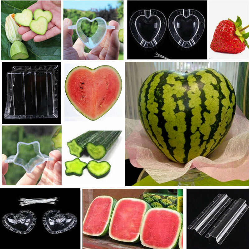 Star Cucumber Mold Tool For Fruit Vegetable Growing Star Shaped