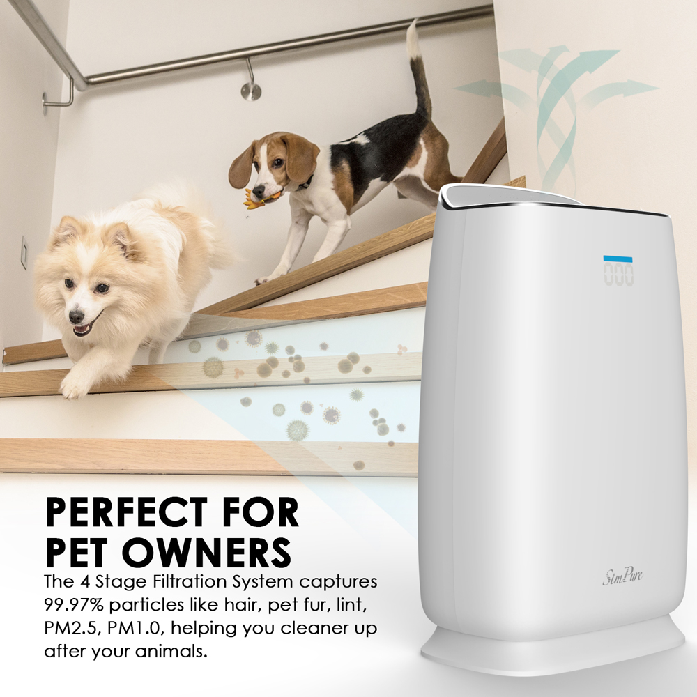 best air filter for home with pets