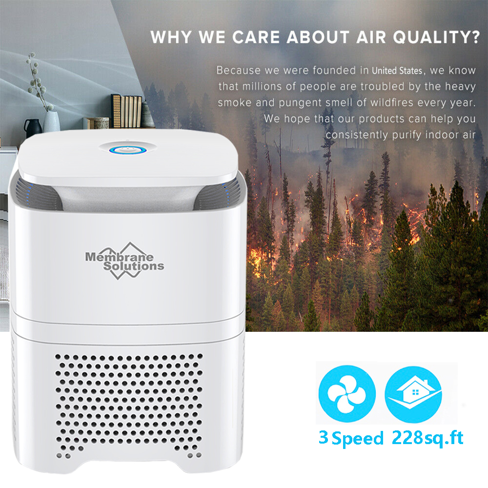 indoor air purifier for smoke