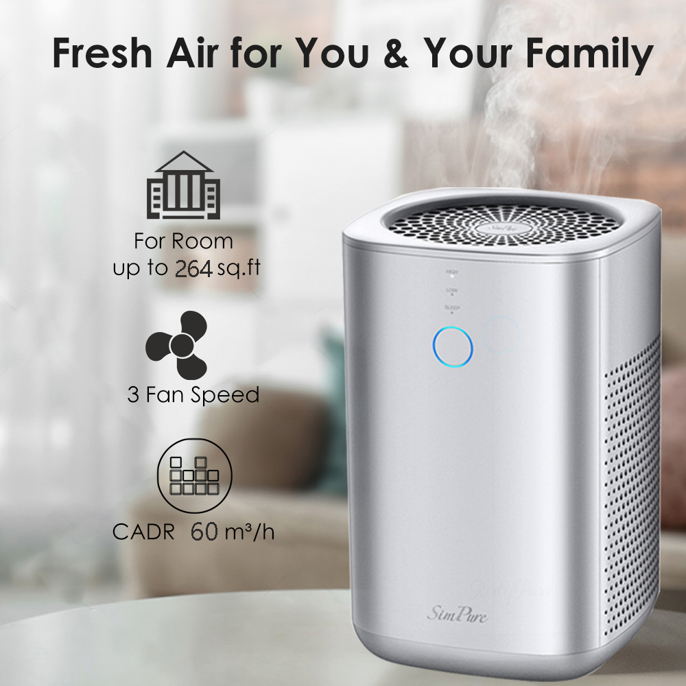 indoor air purifier for smoke