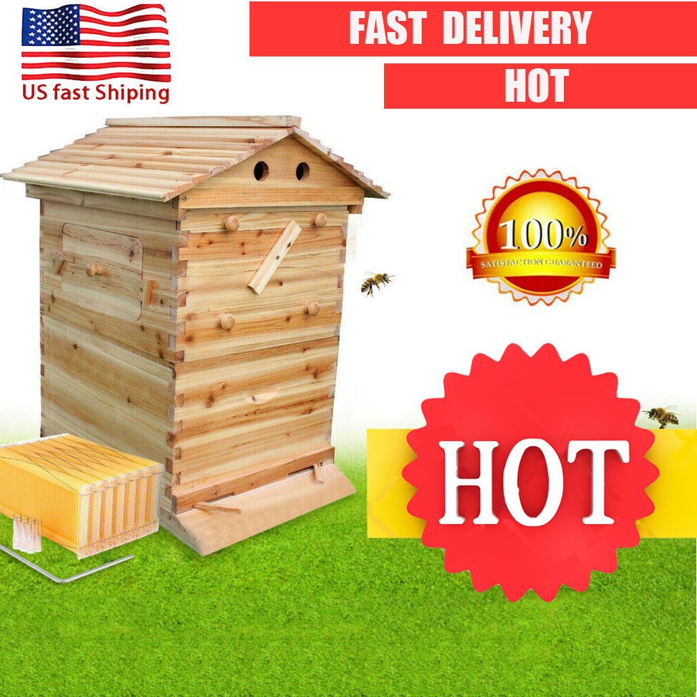 New Upgraded 7X  Honey Bee Hive Frames OR Beekeeping Brood Cedarwood Box House