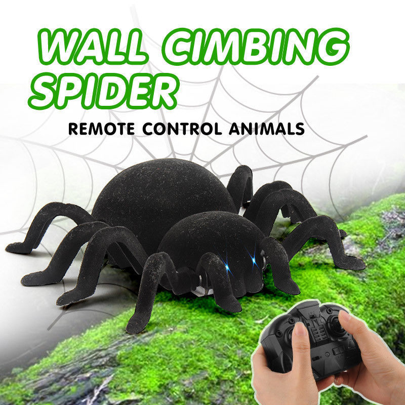 fake spider remote control