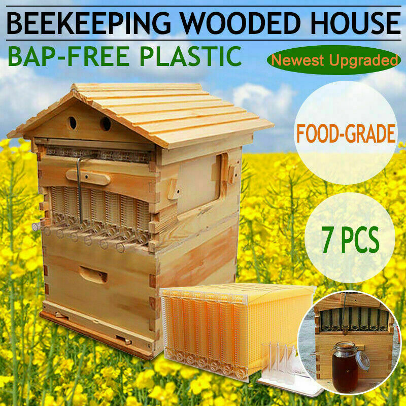 7PCS Auto Free Flowing Honey Hive Beehive Frames+Beekeeping Brood Cedarwood Box 