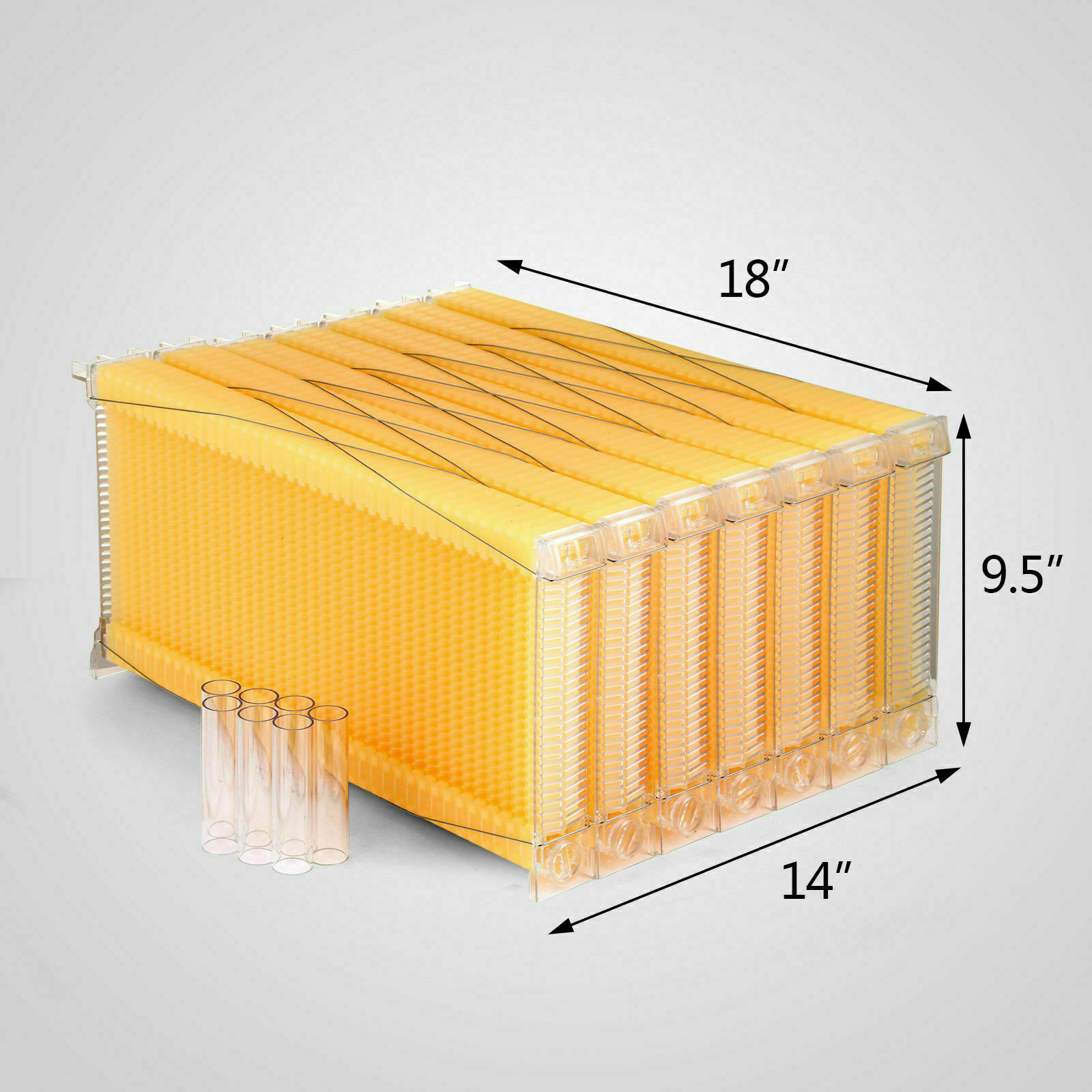 thumbnail 15  - Upgraded Bee hive Brood Box Beekeeping House Or 7 Free move Honey BEE Hive Frame
