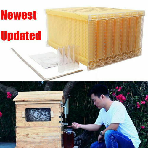 thumbnail 20  - Upgraded Bee hive Brood Box Beekeeping House Or 7 Free move Honey BEE Hive Frame