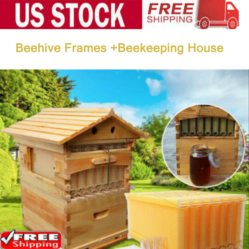 thumbnail 1 - 7 Pices Flowing Honey Hive Beehive Frames &amp;Beekeeping Brood Cedarwood Box Set