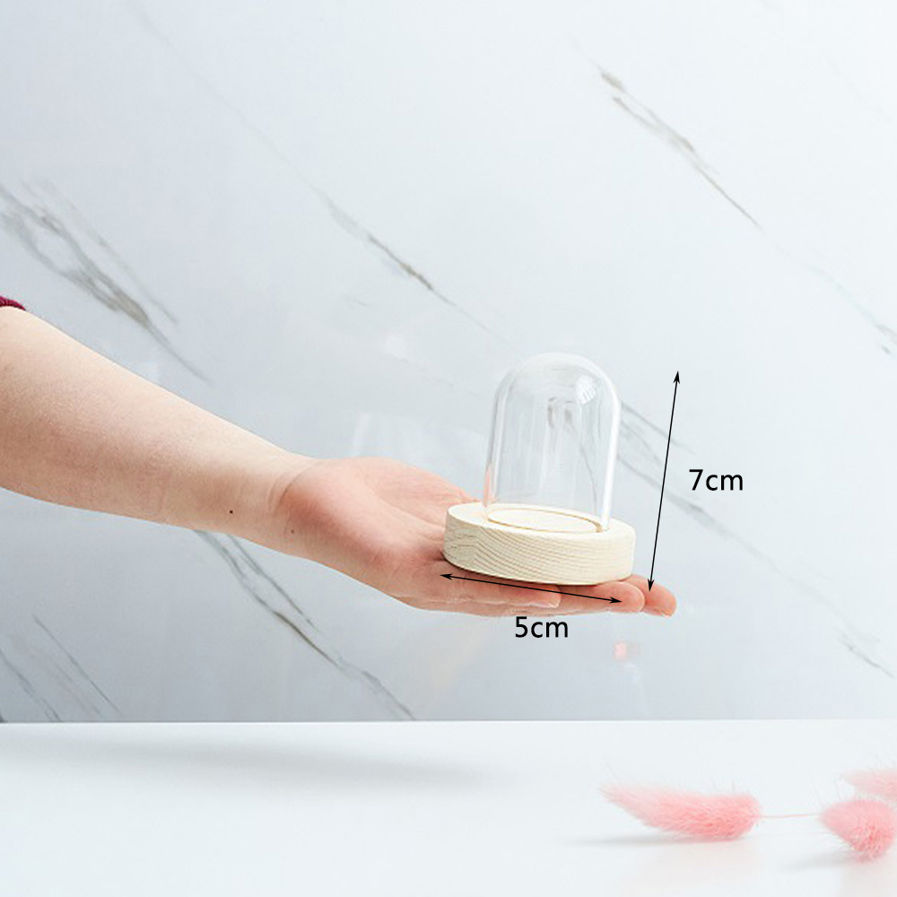 Glass Display Dome Bell Jar Cloche Wood Base Figure Action Stand Landscaping DIY - Picture 12 of 20