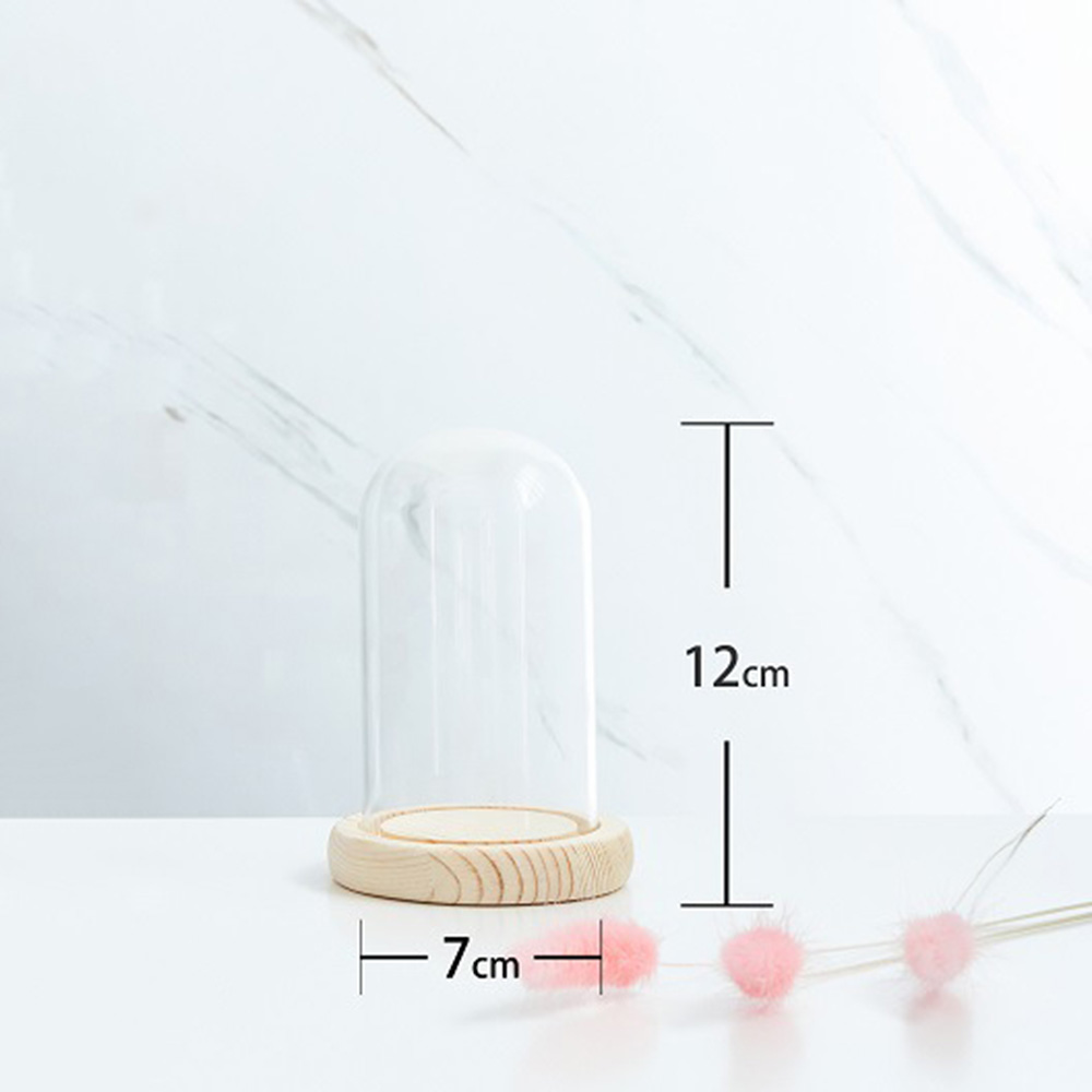 Glass Display Dome Bell Jar Cloche Wood Base Figure Action Stand Landscaping DIY - Picture 13 of 20