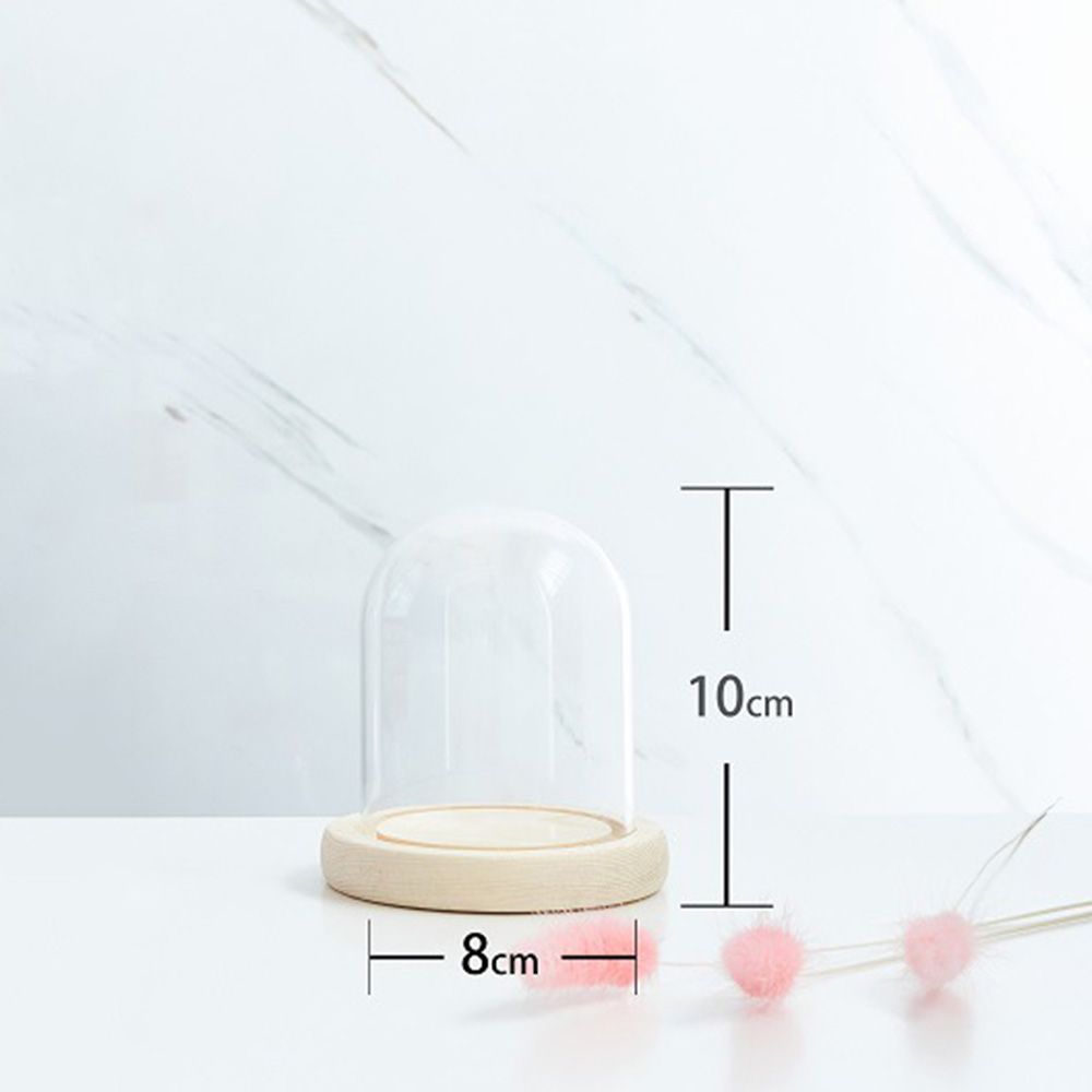 Glass Display Dome Bell Jar Cloche Wood Base Figure Action Stand Landscaping DIY - Picture 14 of 20