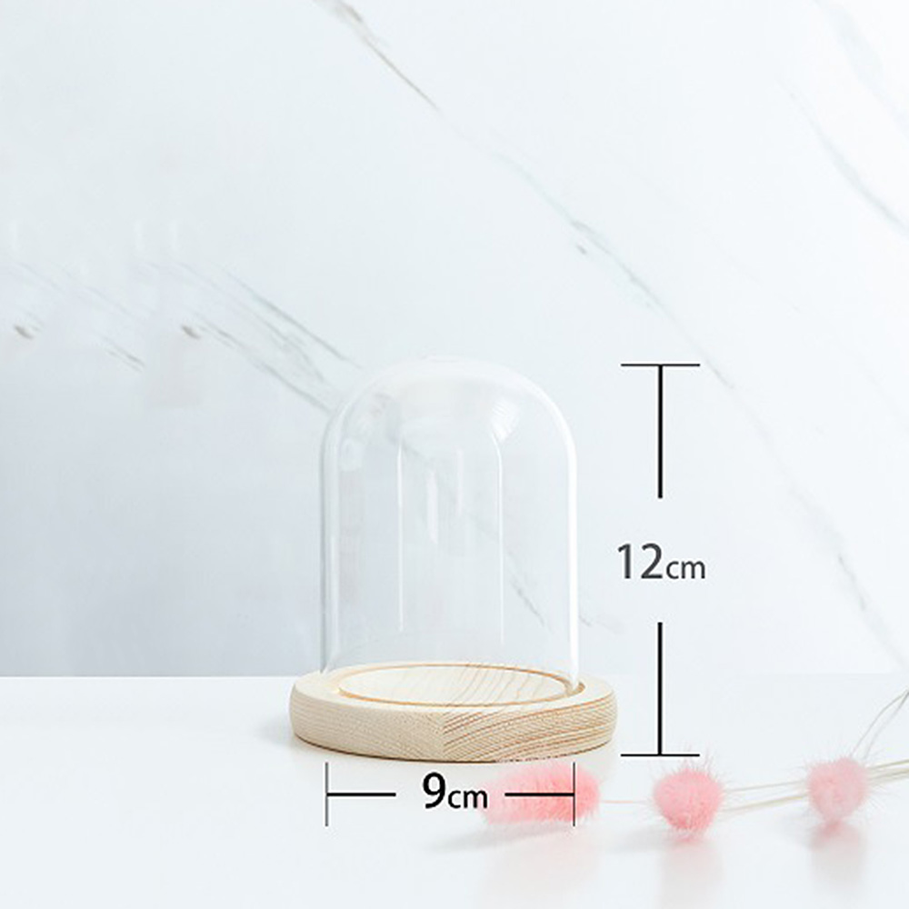 Glass Display Dome Bell Jar Cloche Wood Base Figure Action Stand Landscaping DIY - Picture 16 of 20
