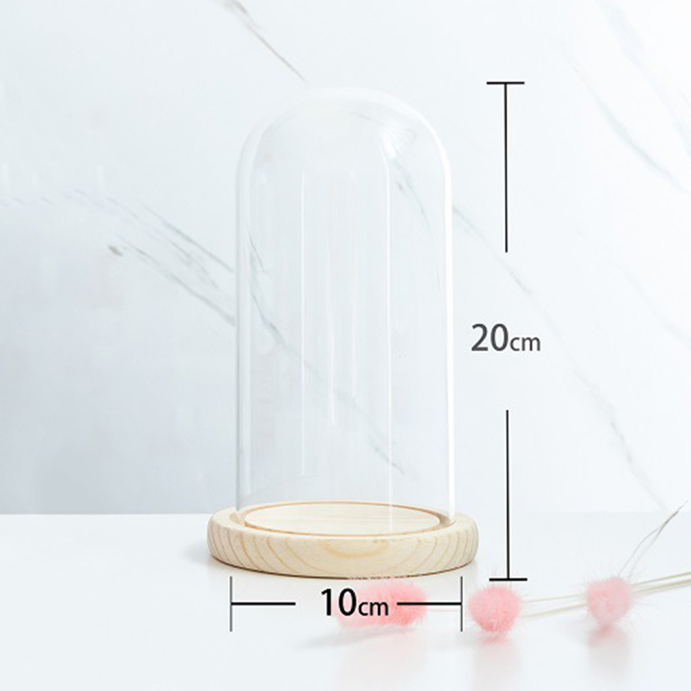 Glass Display Dome Bell Jar Cloche Wood Base Figure Action Stand Landscaping DIY - Picture 18 of 20