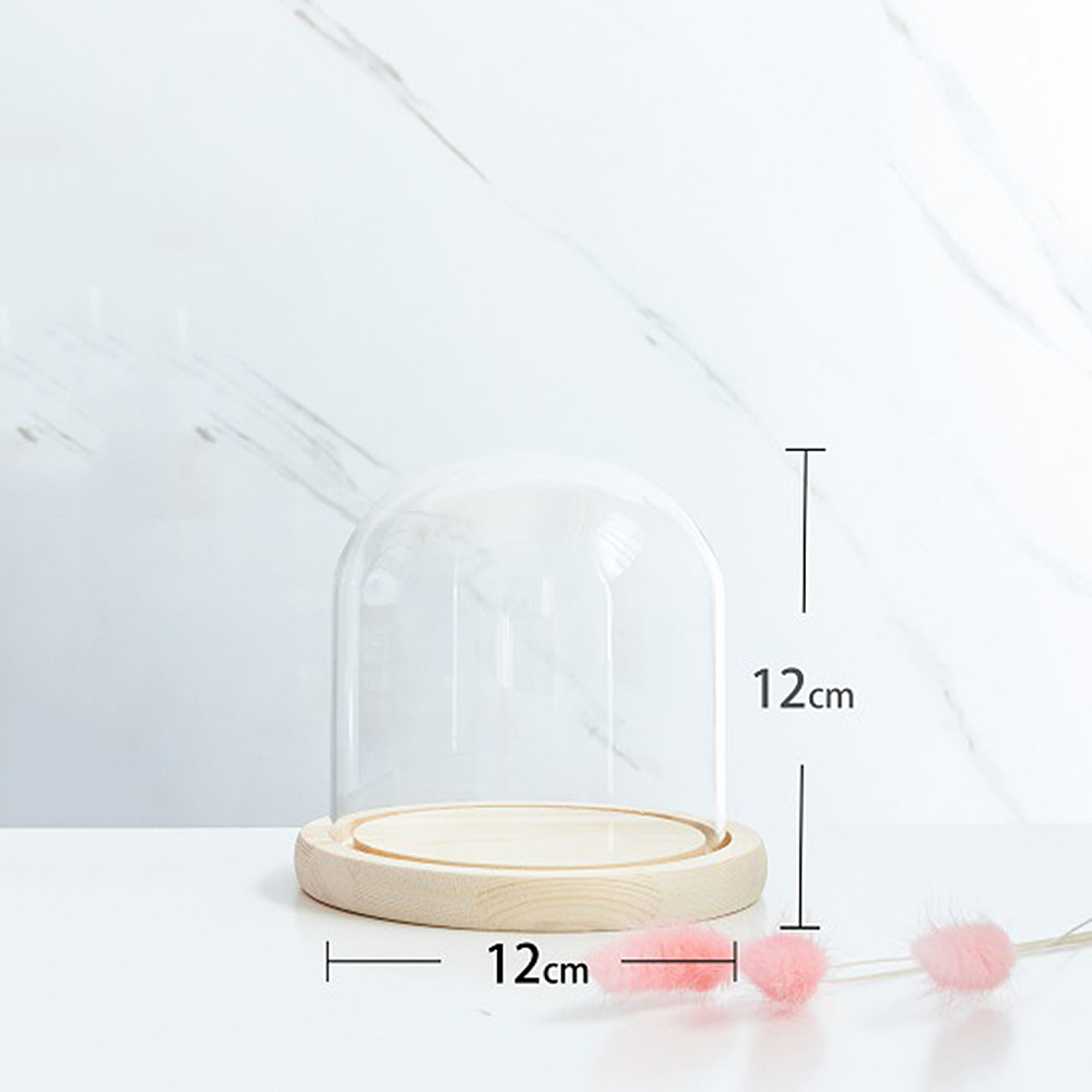 Glass Display Dome Bell Jar Cloche Wood Base Figure Action Stand Landscaping DIY - Picture 19 of 20