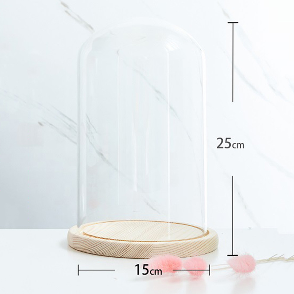 Glass Display Dome Bell Jar Cloche Wood Base Figure Action Stand Landscaping DIY - Picture 20 of 20