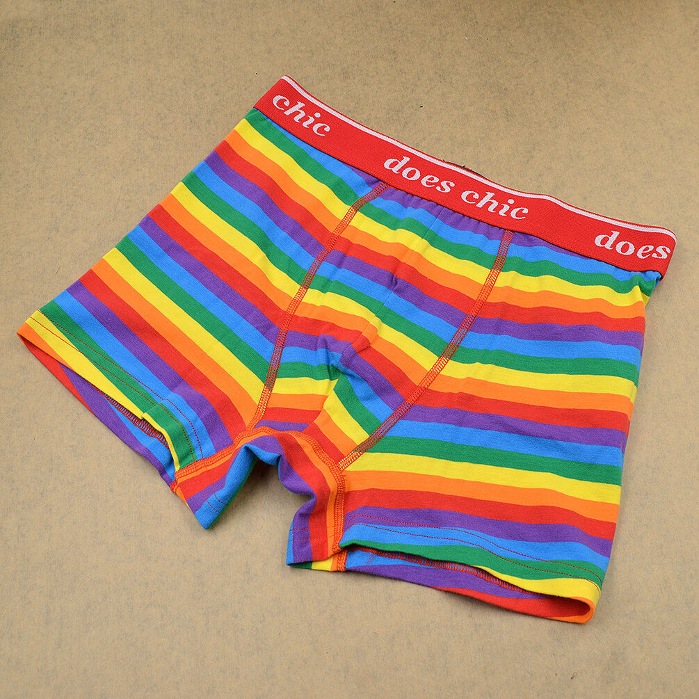 Gay Lgbt Pride Underwear Mens Rainbow Boxer Brief Shorts M L Xl Xxl 3xl Ebay 0589