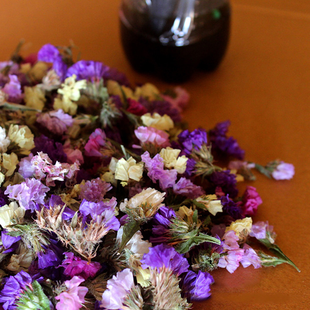 Molly Nilsen Natural Dried Flowers Near Me Household Decoration