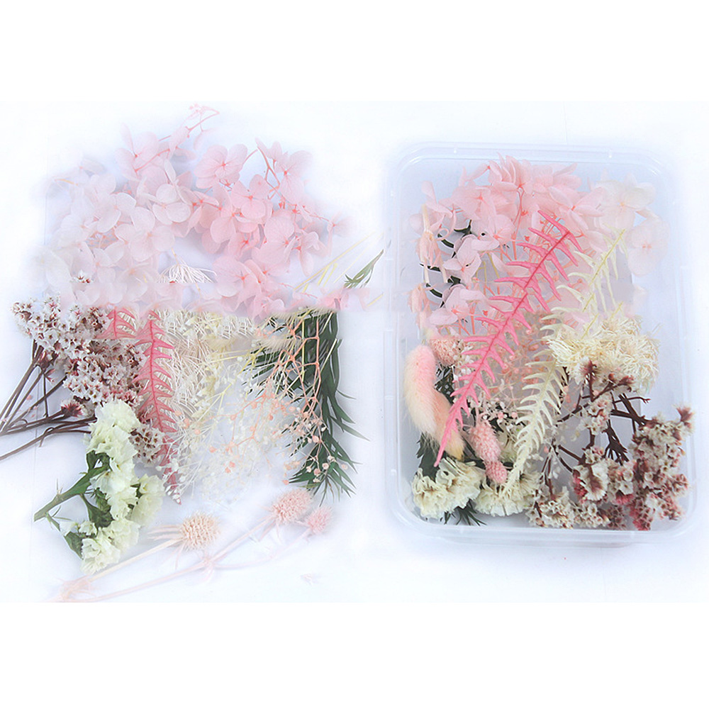 Real Dried Flower for Aromatherapy Candle DIY Epoxy Resin Craft Dried Plants, White