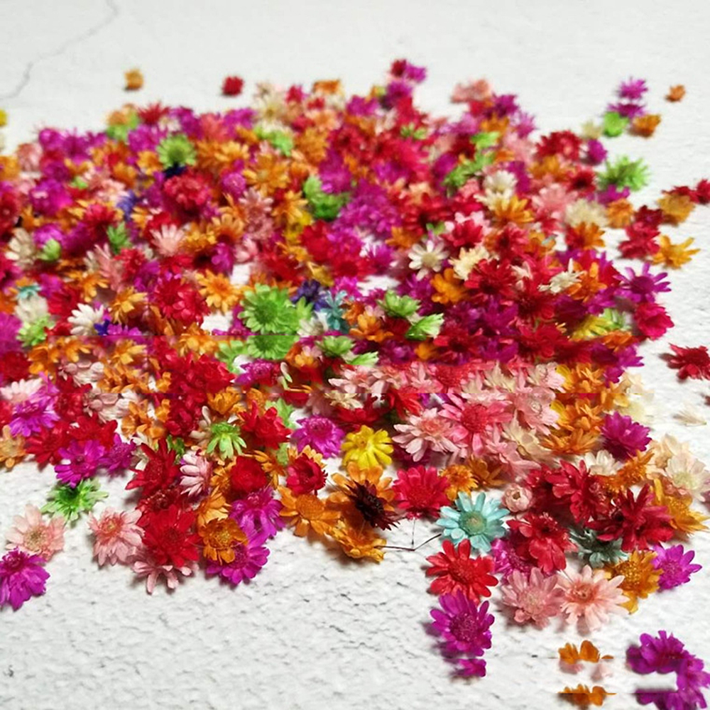100x Daisy Dried flower head Epoxy Resin Pendant Jewelry Making DIY Accessories - Picture 6 of 6