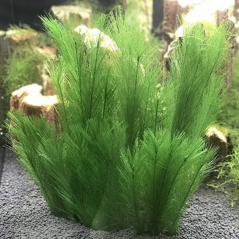 Aquarium Artificial Feather Grass Water Plants Fish Tank Decor Grass ... - 17587134WkKCCD0D