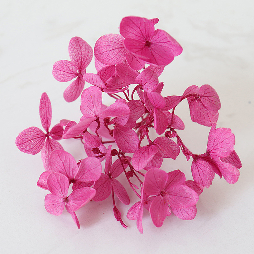 1g Hydrangea Dried Flower DIY Handmade Epoxy UV Resin Aromatherapy Candle Craft - Picture 15 of 26