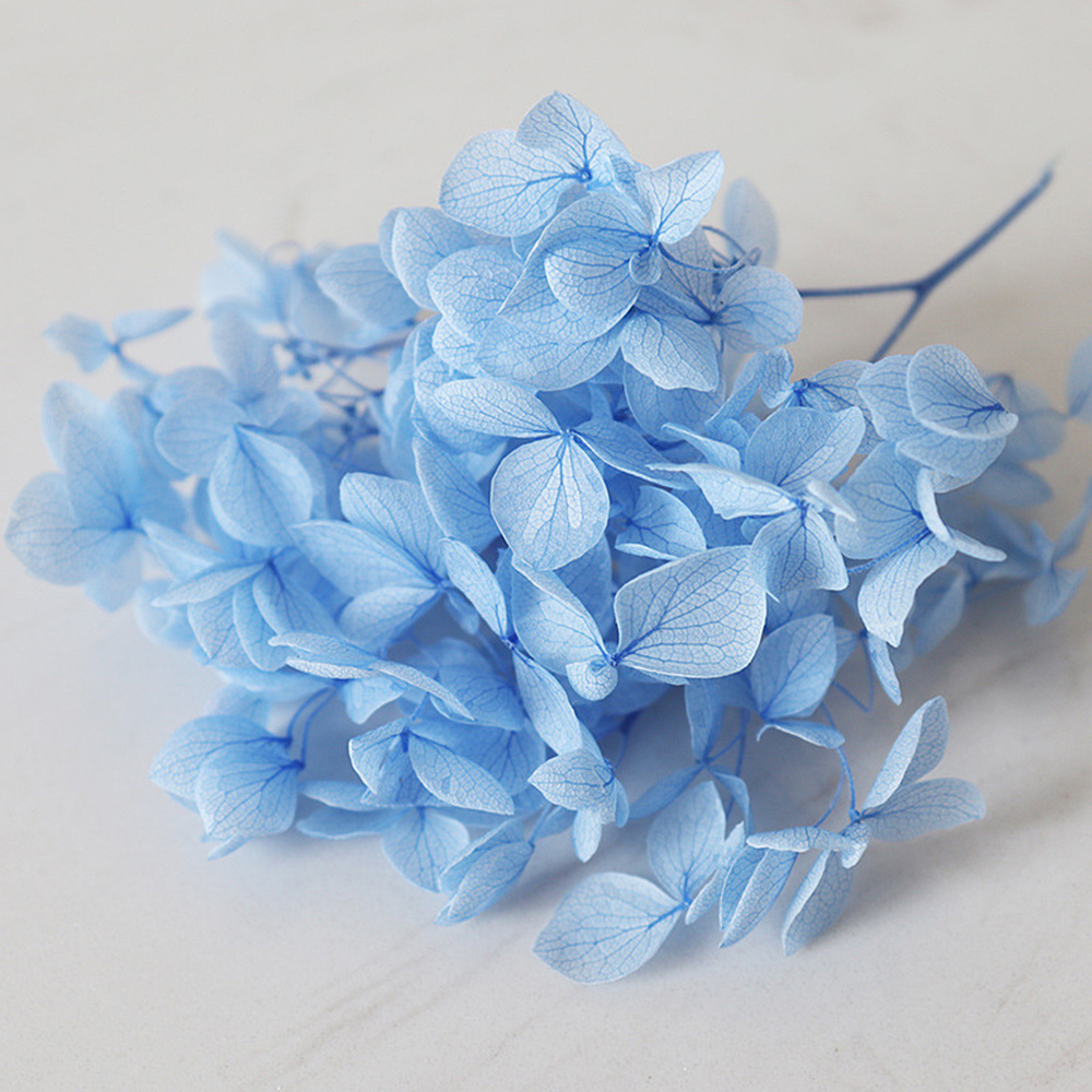1g Hydrangea Dried Flower DIY Handmade Epoxy UV Resin Aromatherapy Candle Craft - Picture 17 of 26