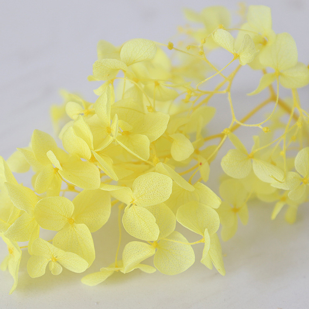 1g Hydrangea Dried Flower DIY Handmade Epoxy UV Resin Aromatherapy Candle Craft - Picture 18 of 26
