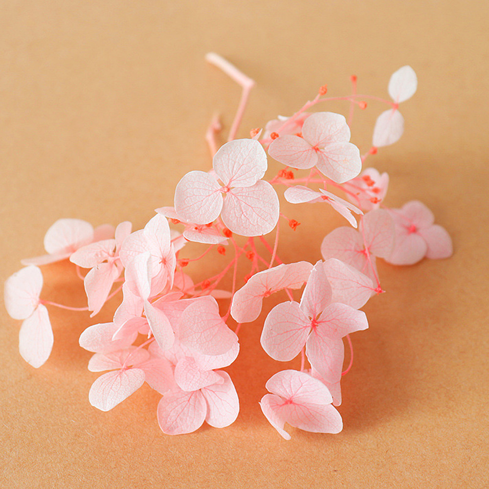 1g Hydrangea Dried Flower DIY Handmade Epoxy UV Resin Aromatherapy Candle Craft - Picture 19 of 26