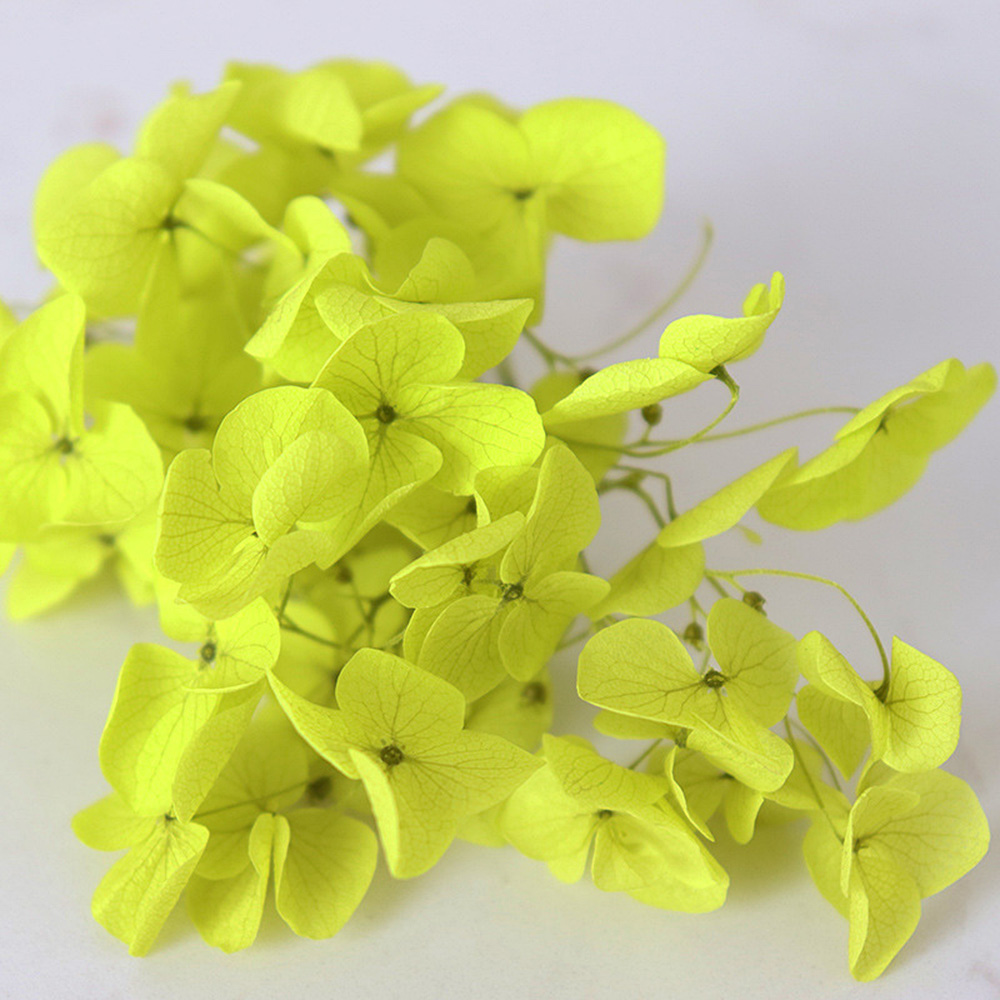 1g Hydrangea Dried Flower DIY Handmade Epoxy UV Resin Aromatherapy Candle Craft - Picture 20 of 26