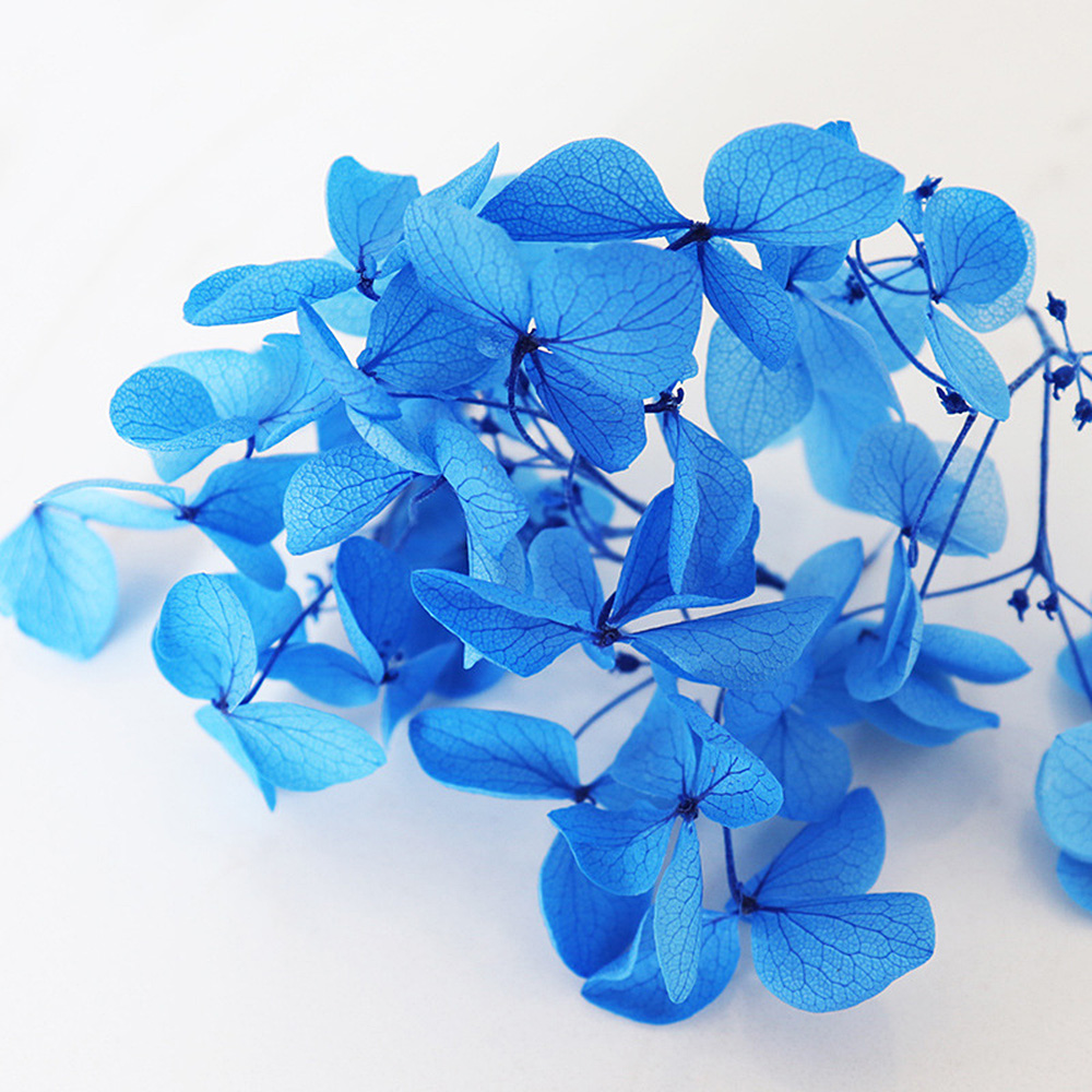 1g Hydrangea Dried Flower DIY Handmade Epoxy UV Resin Aromatherapy Candle Craft - Picture 21 of 26