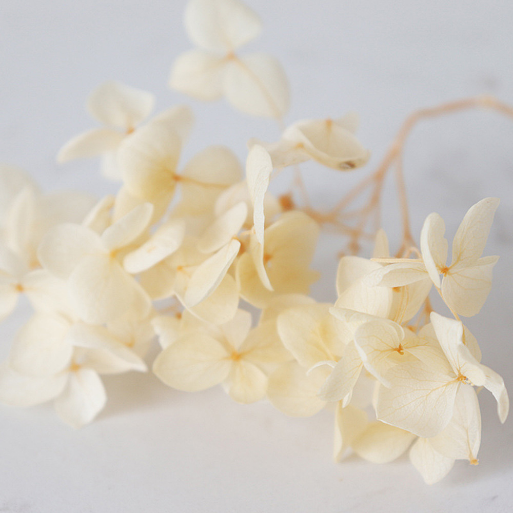 1g Hydrangea Dried Flower DIY Handmade Epoxy UV Resin Aromatherapy Candle Craft - Picture 22 of 26