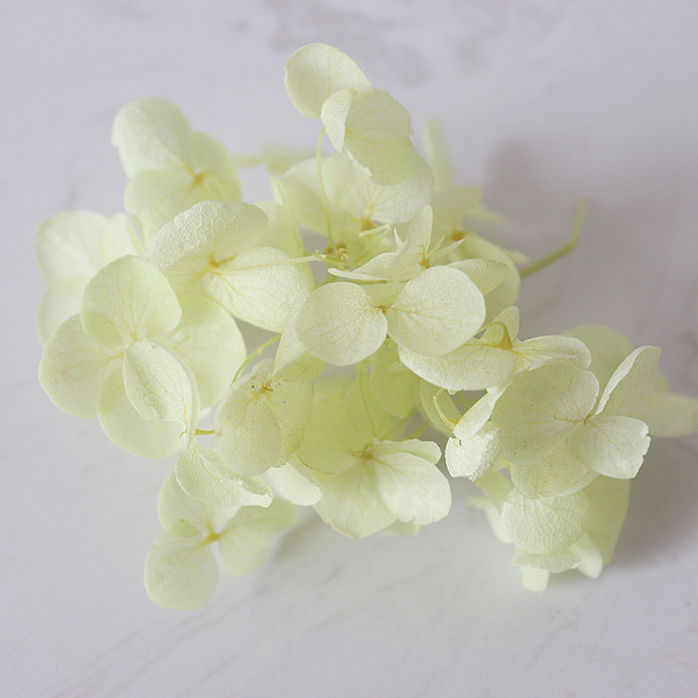 1g Hydrangea Dried Flower DIY Handmade Epoxy UV Resin Aromatherapy Candle Craft - Picture 24 of 26