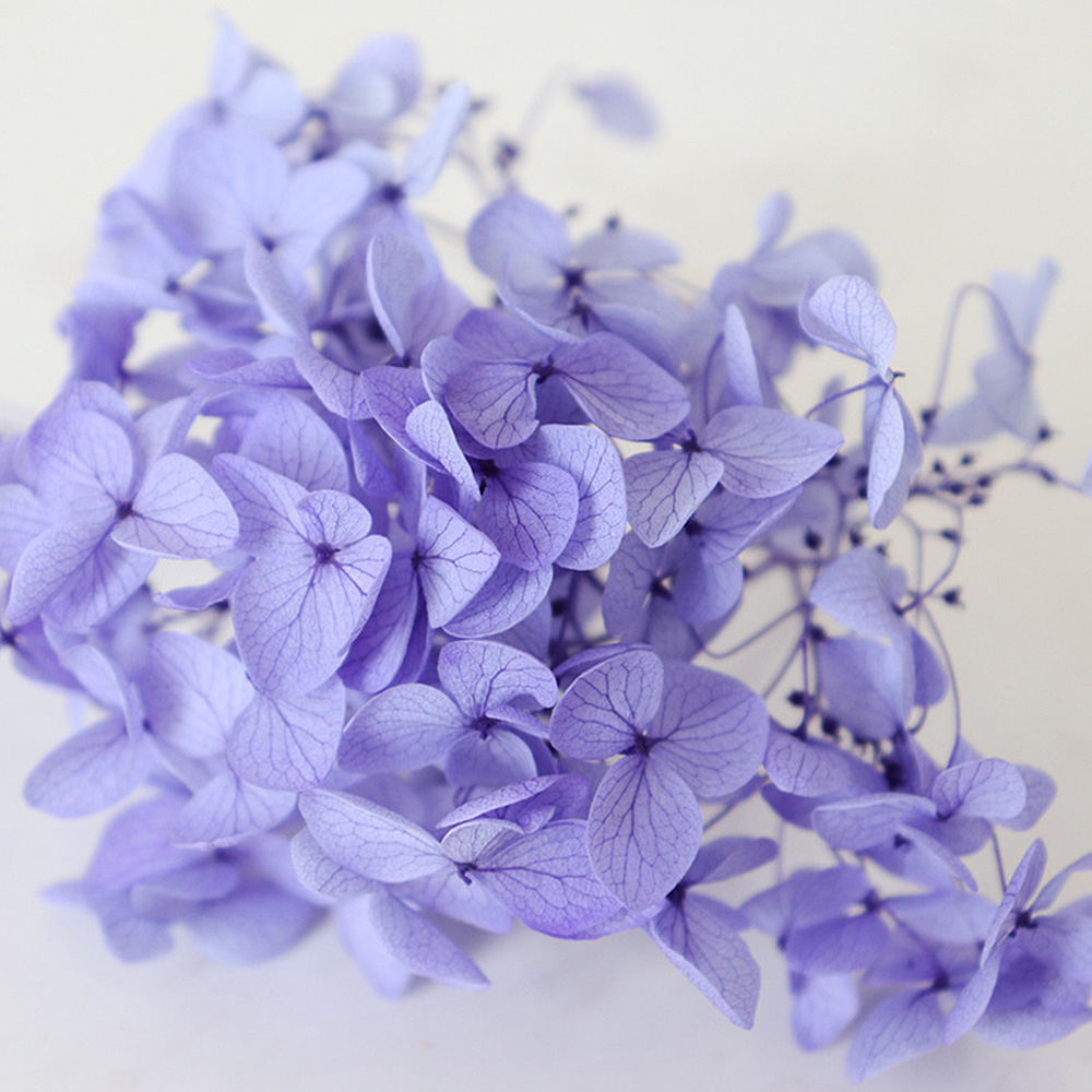 1g Hydrangea Dried Flower DIY Handmade Epoxy UV Resin Aromatherapy Candle Craft - Picture 26 of 26