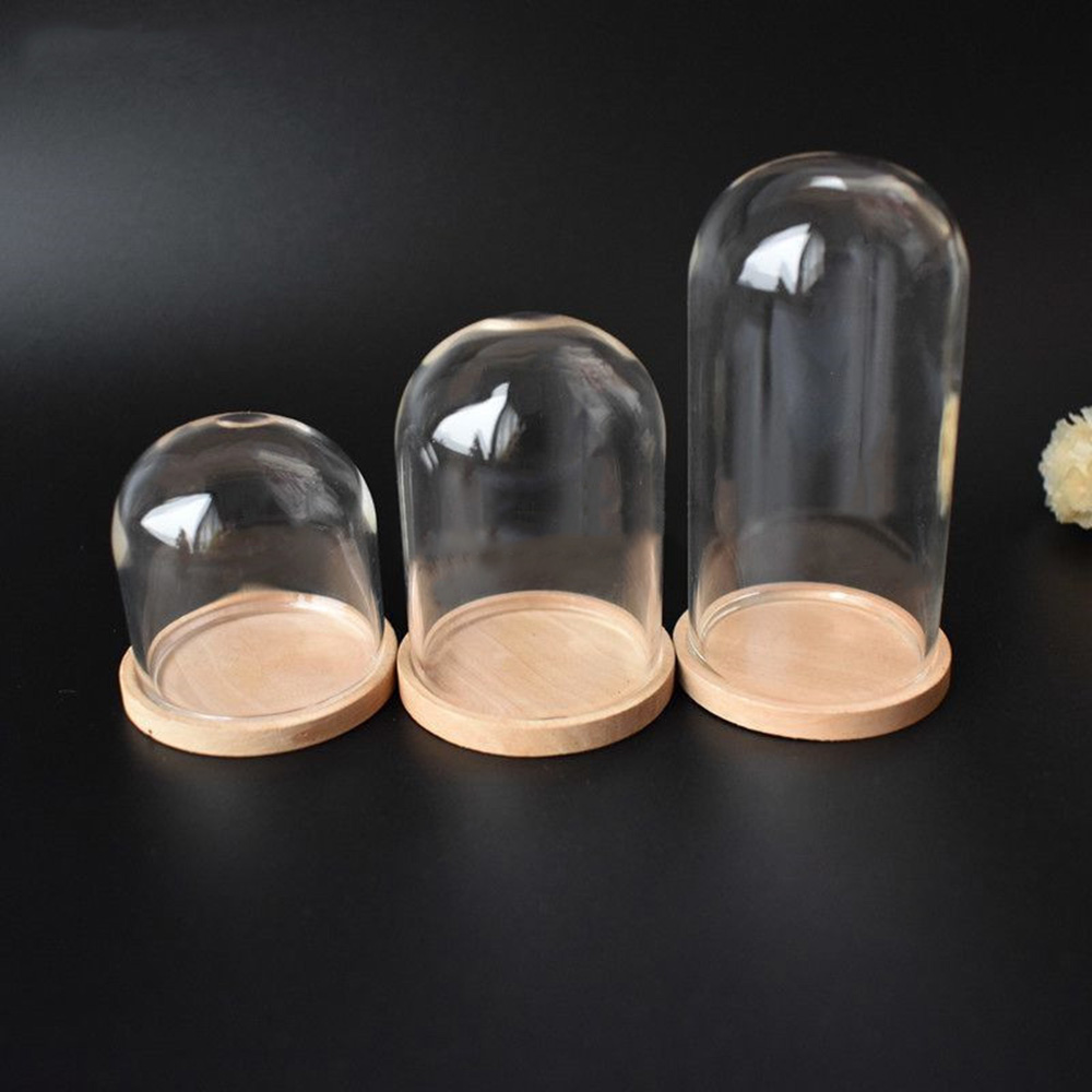 10x15cm Small Glass Garden Seedling Cloche or Display Dome Mini Bell Jar 