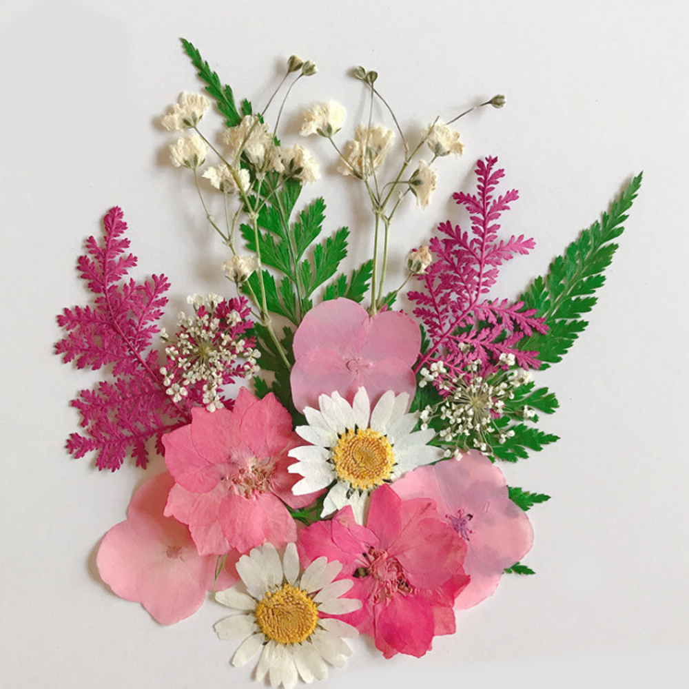 Resin Art Natural Dried Flowers Pink Petals 1 Box Ib – Itsy Bitsy