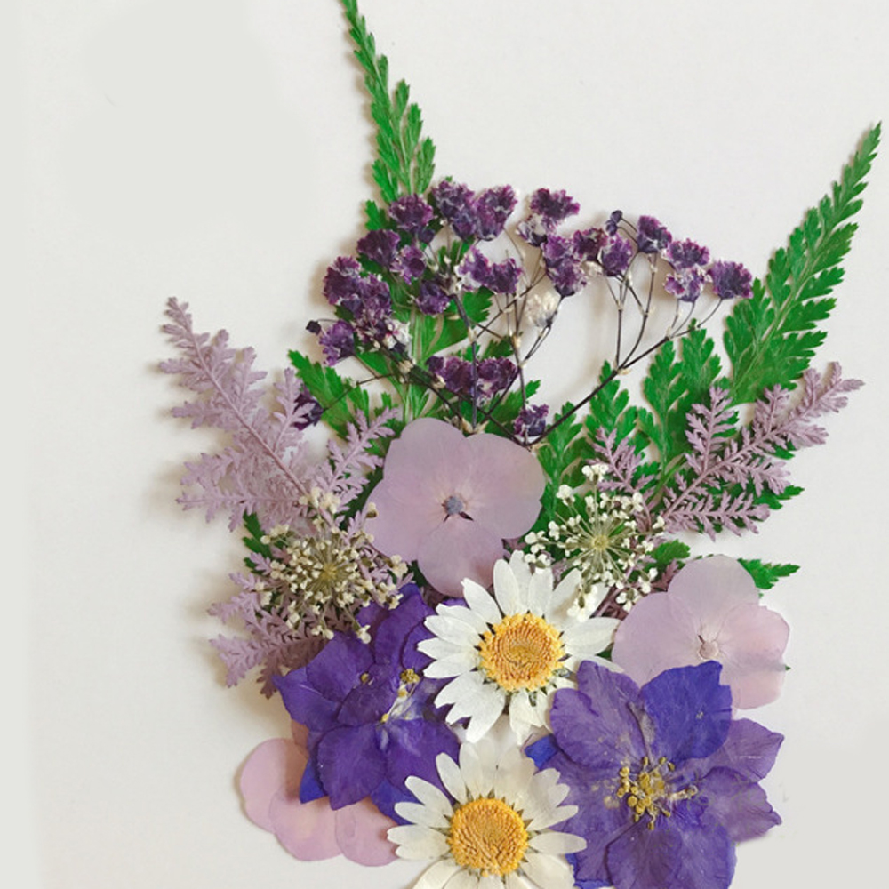 Dried Real Flowers For Crafts - Pressed Purple Snow Bead Flower - Dry –  DOMEDBAZAAR