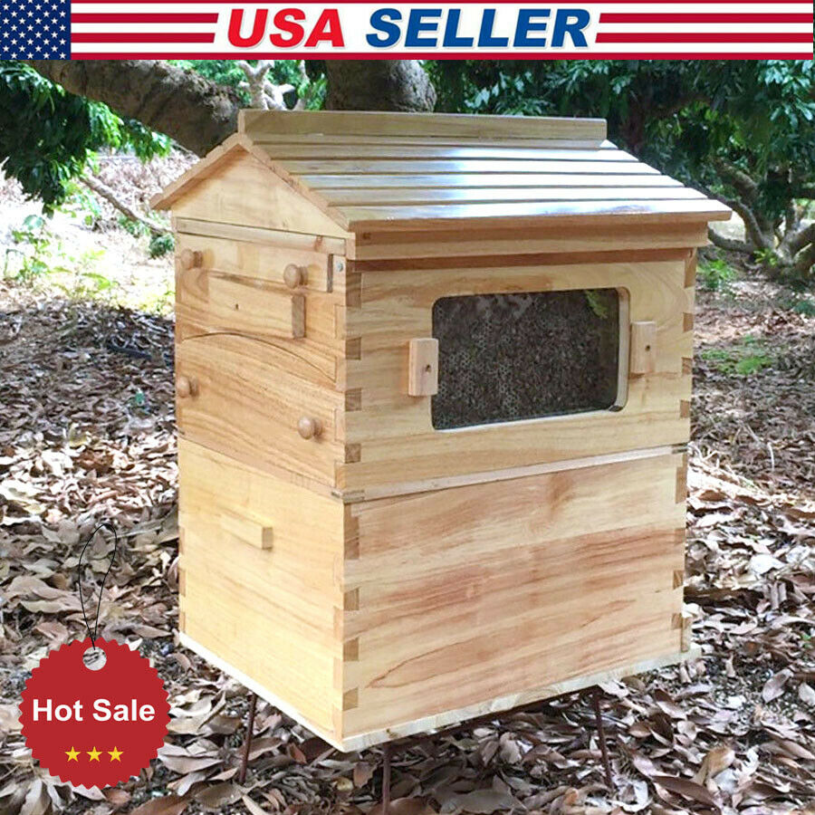 thumbnail 1 - TOP Beehive House 2-Layer Super Brood Beekeeping Bee Hive Box For 7PCS Frames