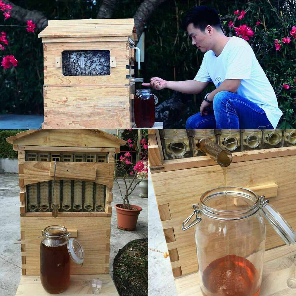 thumbnail 16  - 7PCS Free Flowing Honey Hive Beehive Frames / Beekeeping Brood Cedarwood Box US