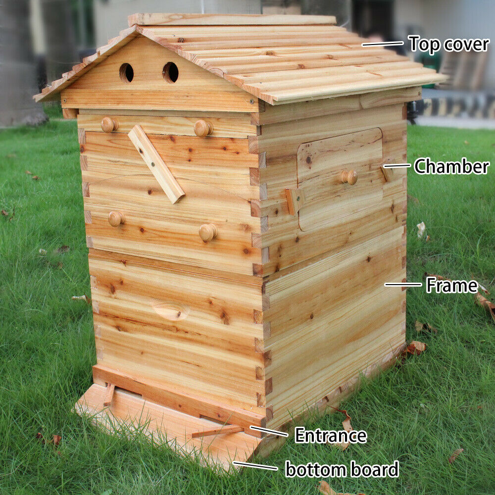 thumbnail 16  - 7Pcs Honey Hive Beehive Frames+Beekeeping Brood Cedarwood Box Set Removable US