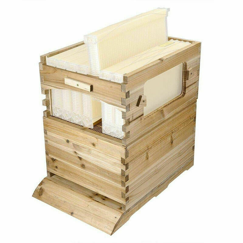thumbnail 17  - Bee Hive House 7PCS Honey Frames Beehive + Beekeeping Brood Cedarwood Box Kit US
