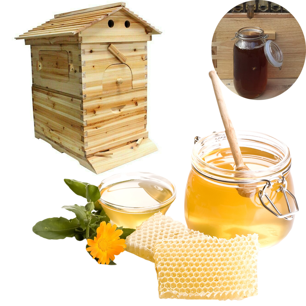 thumbnail 21  - Bee Hive House 7PCS Honey Frames Beehive + Beekeeping Brood Cedarwood Box Kit US
