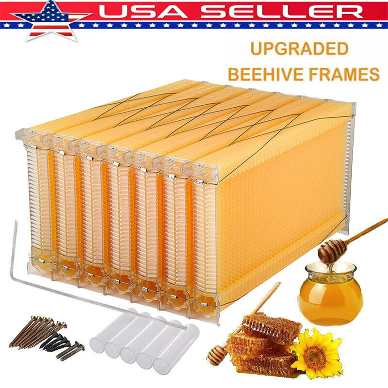 thumbnail 13  - 7PCS Free Flowing Honey Hive Beehive Frames Or Beekeeping Brood Cedarwood Box