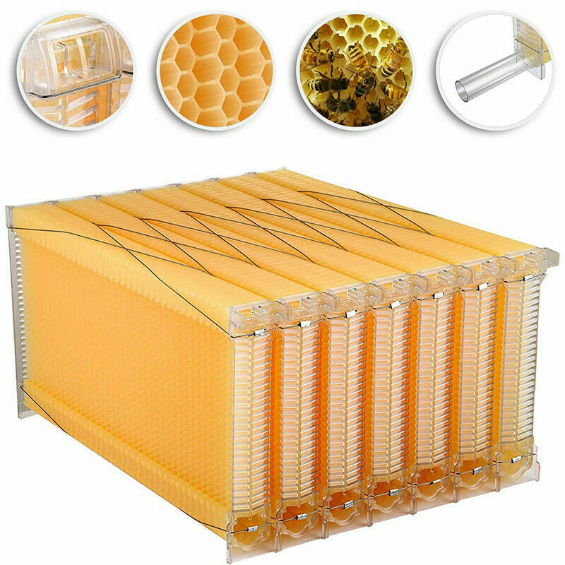 thumbnail 14  - 7x Free Flowing Honey Hive Beehive Frames + Cedarwood Beehive House Box Set New